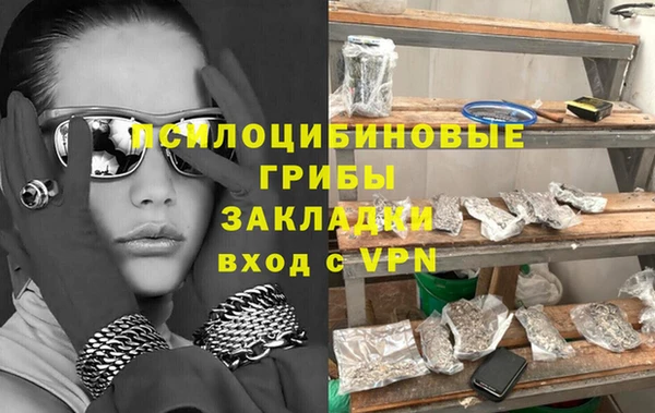 молекула духа Алексеевка