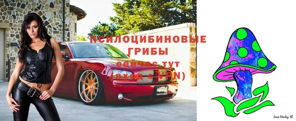 молекула духа Алексеевка