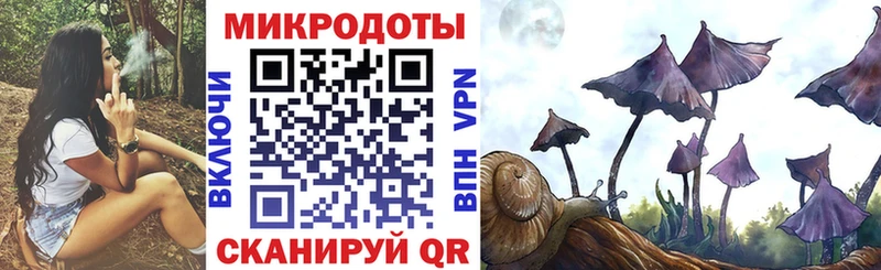 OMG онион Венёв Псилоцибиновые грибы Cubensis